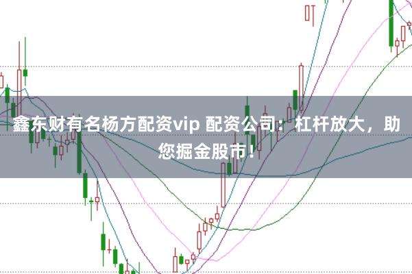 鑫东财有名杨方配资vip 配资公司：杠杆放大，助您掘金股市！