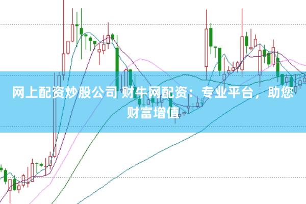 网上配资炒股公司 财牛网配资：专业平台，助您财富增值
