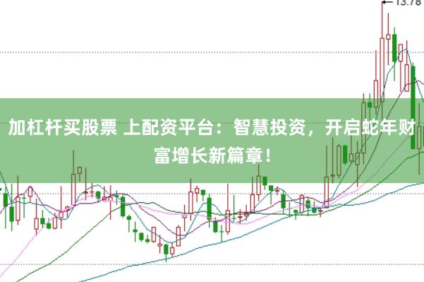 加杠杆买股票 上配资平台：智慧投资，开启蛇年财富增长新篇章！