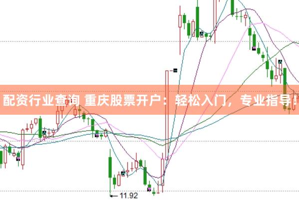 配资行业查询 重庆股票开户：轻松入门，专业指导！
