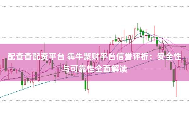 配查查配资平台 犇牛聚财平台信誉评析：安全性与可靠性全面解读