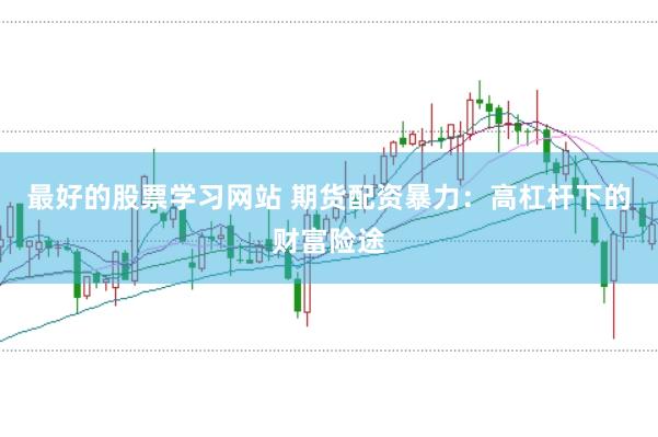 最好的股票学习网站 期货配资暴力：高杠杆下的财富险途