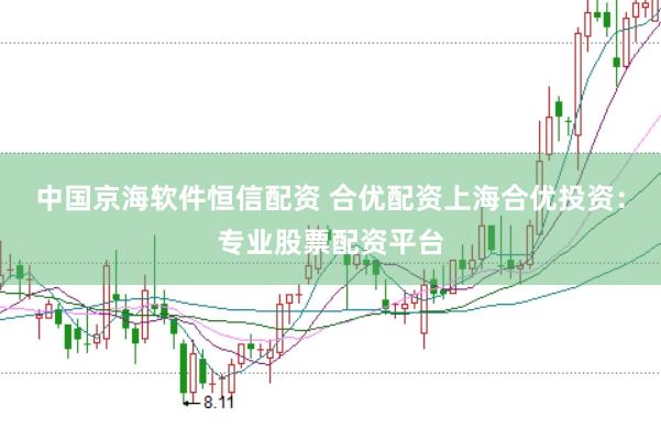 中国京海软件恒信配资 合优配资上海合优投资：专业股票配资平台