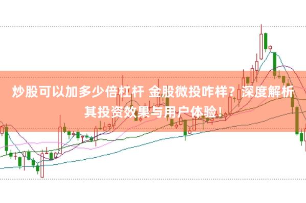 炒股可以加多少倍杠杆 金股微投咋样？深度解析其投资效果与用户体验！