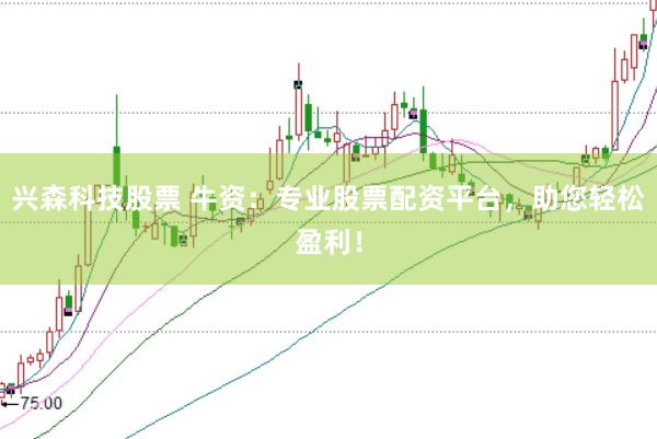兴森科技股票 牛资：专业股票配资平台，助您轻松盈利！