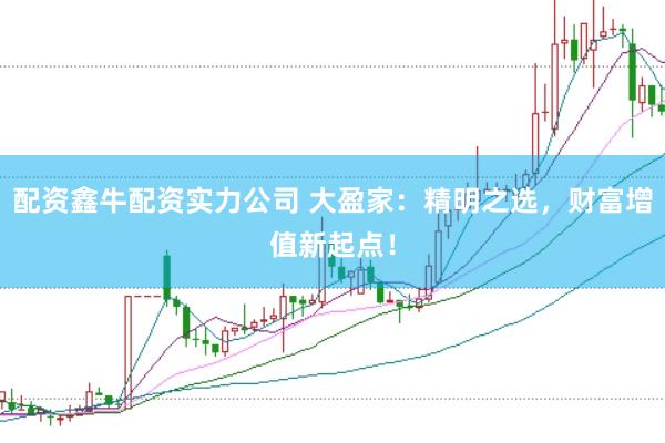 配资鑫牛配资实力公司 大盈家：精明之选，财富增值新起点！