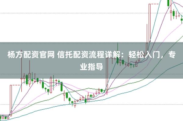 杨方配资官网 信托配资流程详解：轻松入门，专业指导