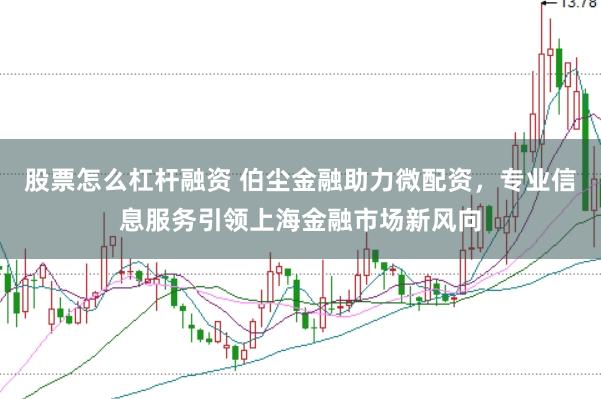 股票怎么杠杆融资 伯尘金融助力微配资，专业信息服务引领上海金融市场新风向