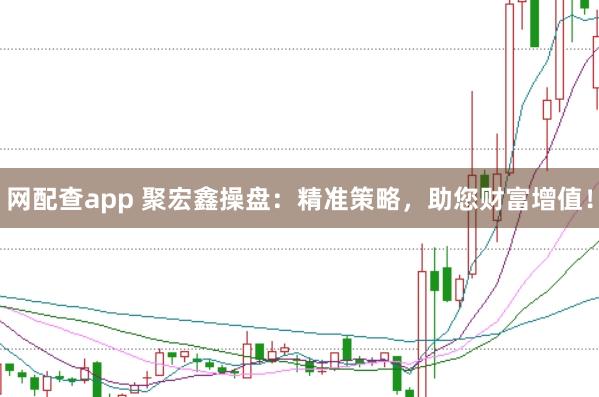 网配查app 聚宏鑫操盘：精准策略，助您财富增值！