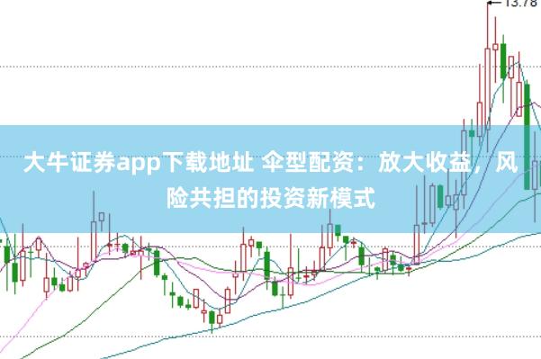 大牛证券app下载地址 伞型配资：放大收益，风险共担的投资新模式
