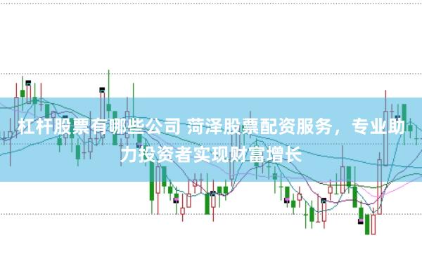 杠杆股票有哪些公司 菏泽股票配资服务，专业助力投资者实现财富增长