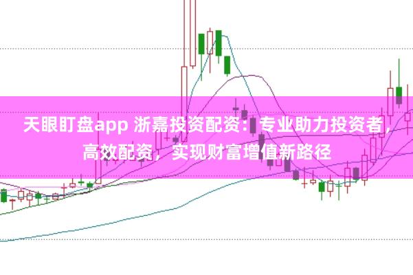 天眼盯盘app 浙嘉投资配资：专业助力投资者，高效配资，实现财富增值新路径