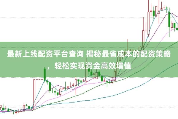 最新上线配资平台查询 揭秘最省成本的配资策略，轻松实现资金高效增值