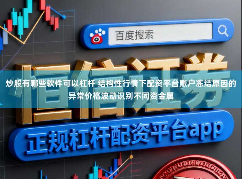炒股有哪些软件可以杠杆 结构性行情下配资平台账户冻结原因的异常价格波动识别不同资金属
