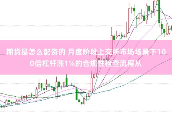 期货是怎么配资的 月度阶段上交所市场场景下100倍杠杆涨1%的合规性检查流程从