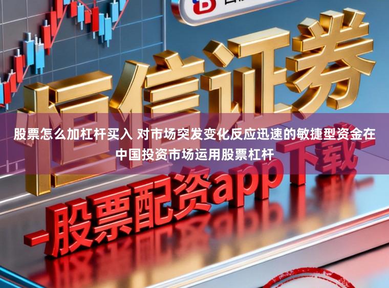 股票怎么加杠杆买入 对市场突发变化反应迅速的敏捷型资金在中国投资市场运用股票杠杆